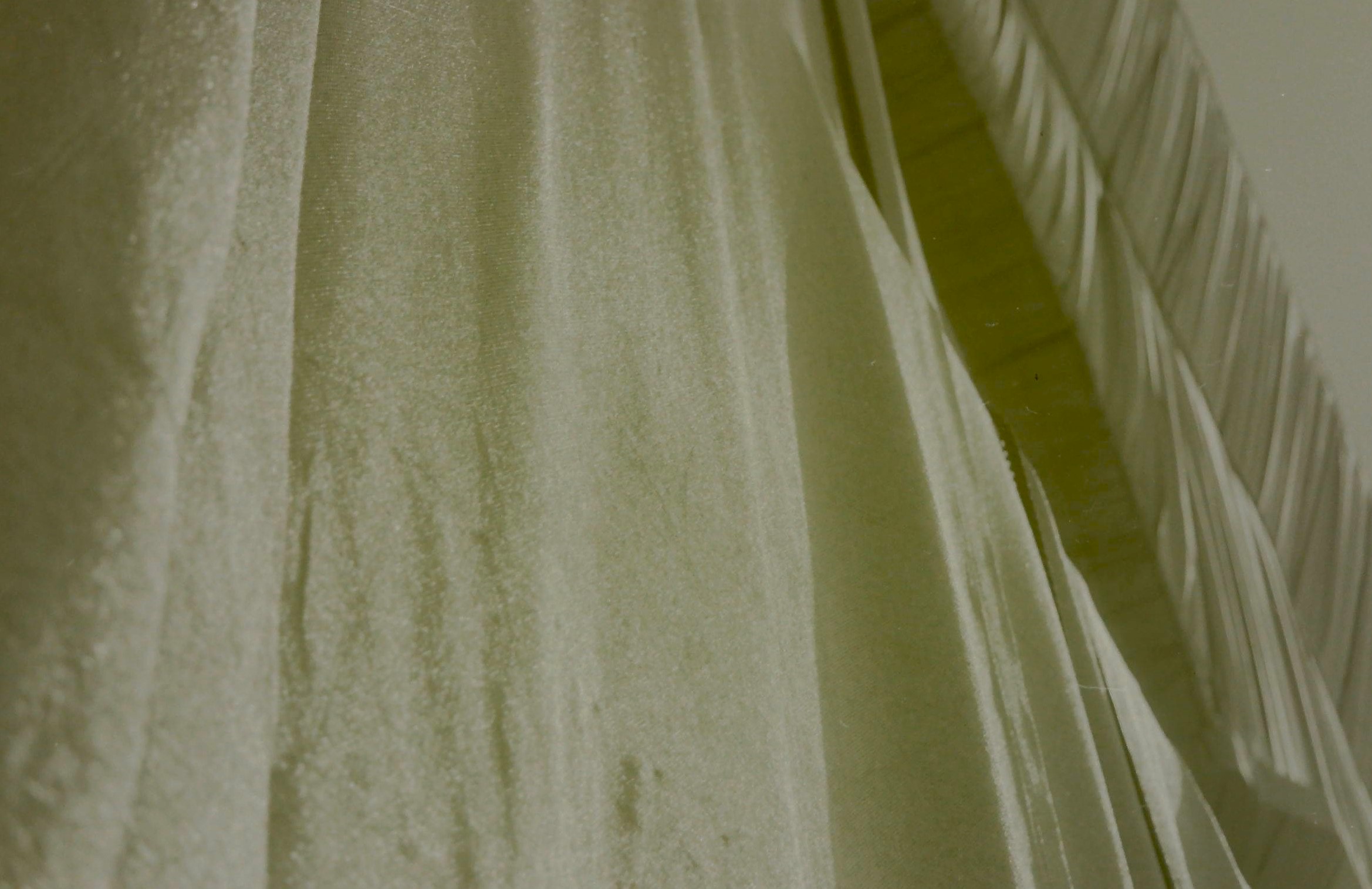 photo.