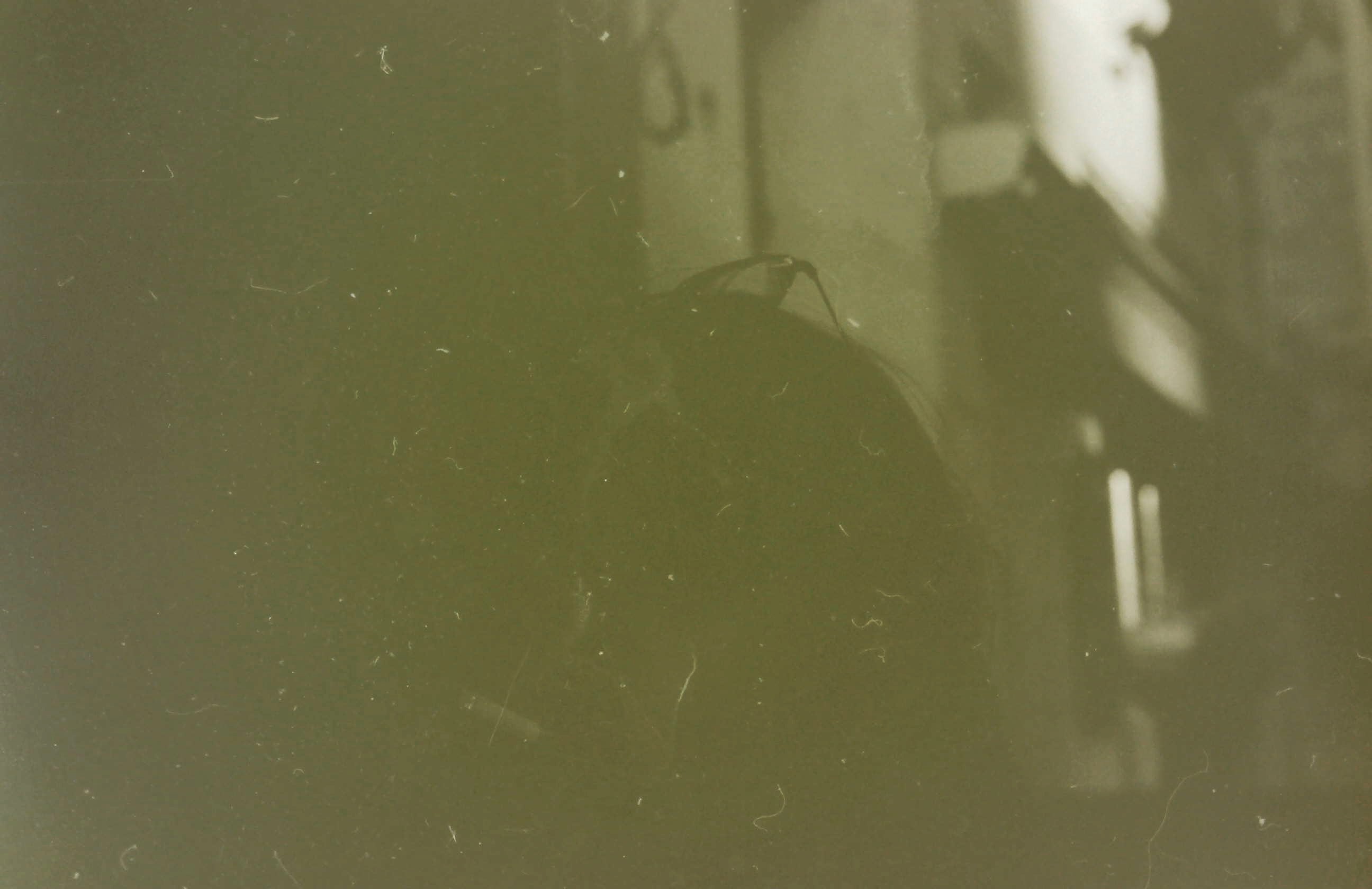 photo.